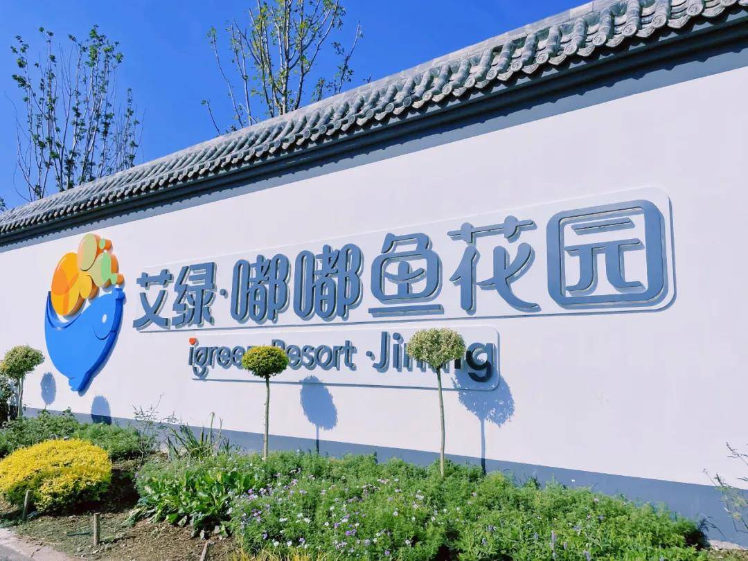 乡村振兴旧城海子打造乡村振兴齐鲁样板