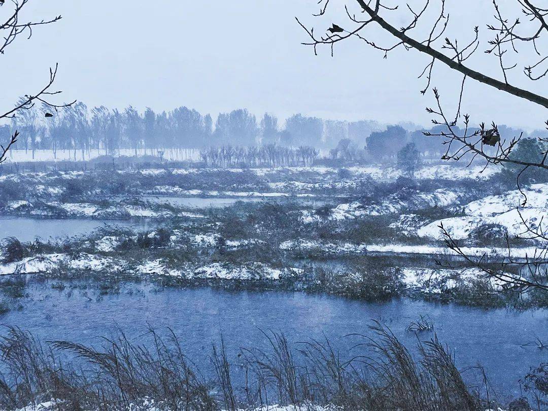 视频|你猜！雪中的武清有多美！