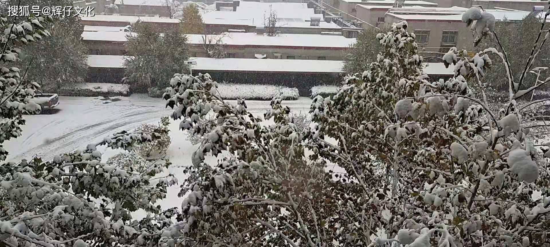 立冬之雪来的匆忙走的匆忙