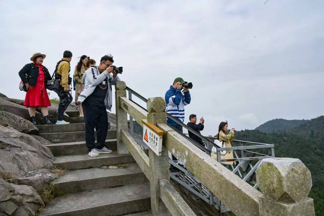 梭子蟹|浙南看一看 苍南第一站丨百县千碗美食体验官寻味苍南之旅再启程！