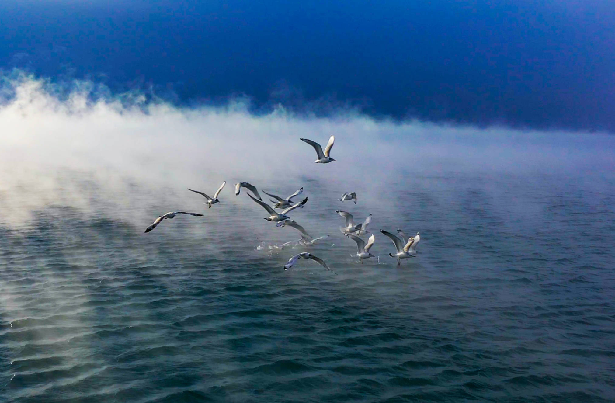 新疆博州赛里木湖景区惊现水雾大潮奇观