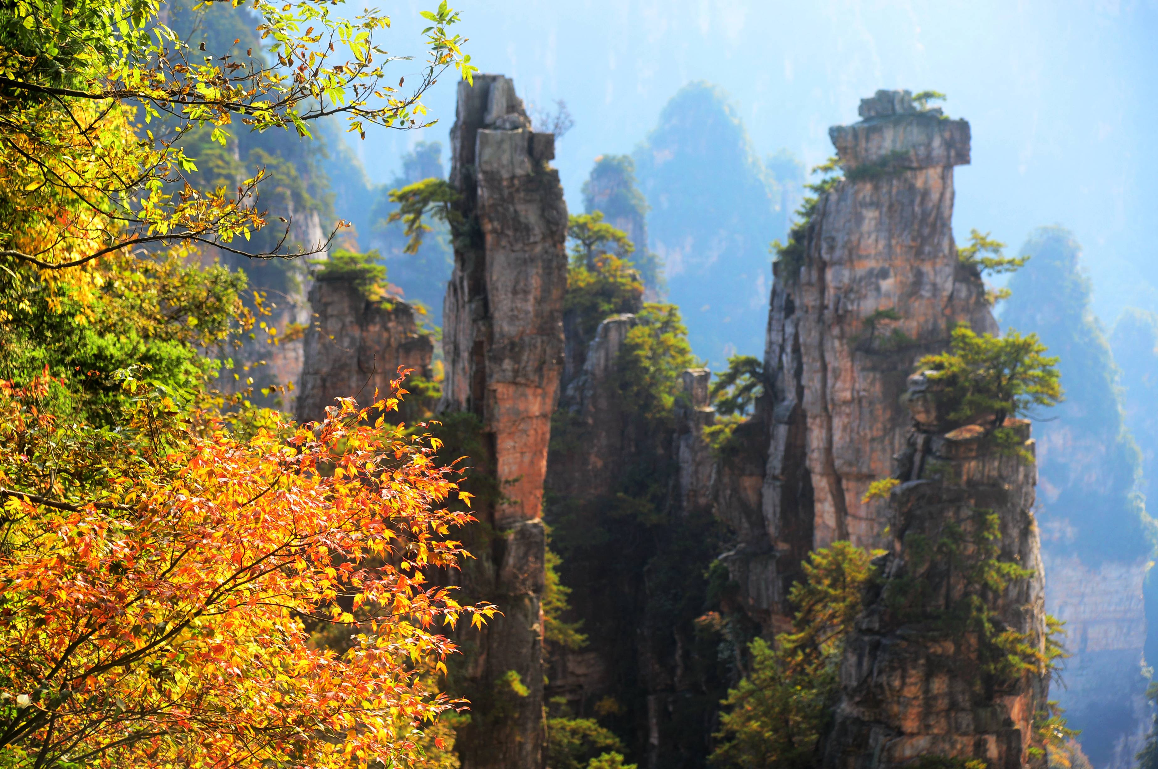 七彩峰林武陵源 初冬美景惹人羡(组图)