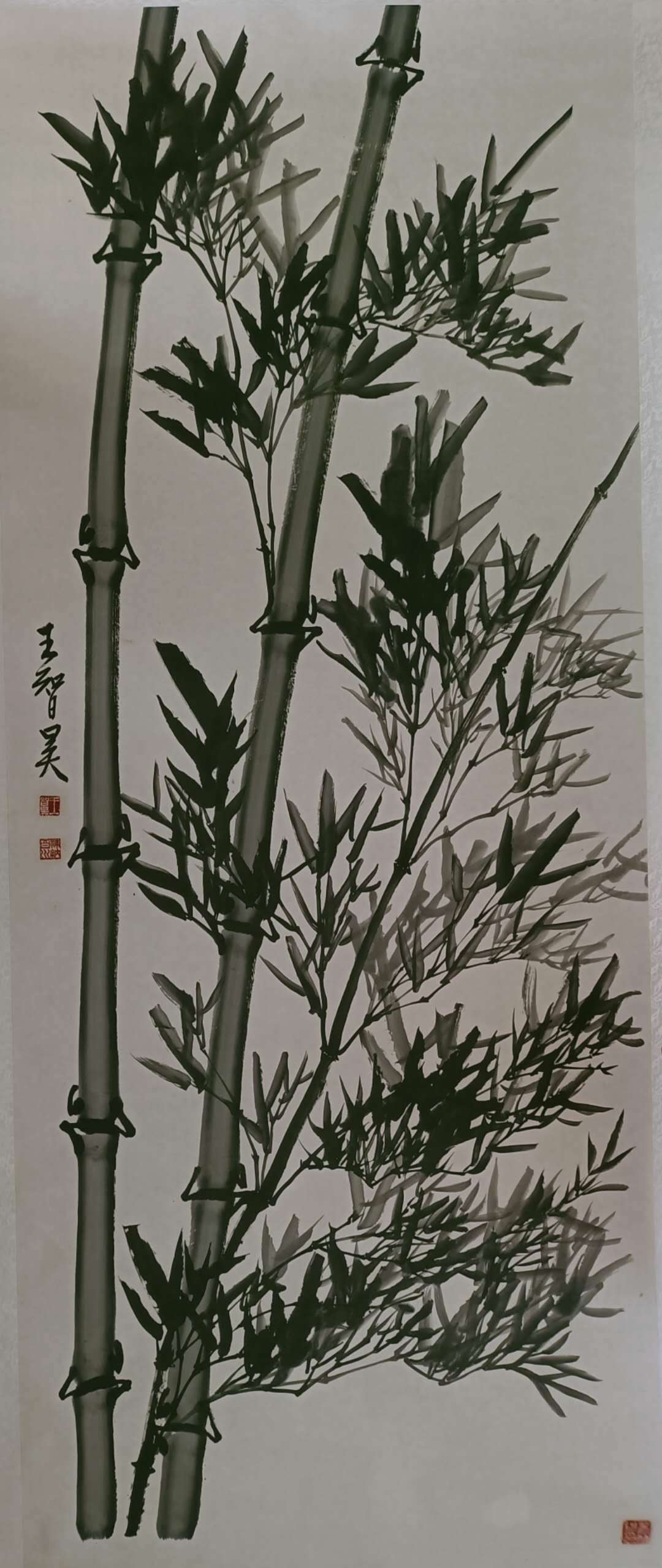 中国当代艺坛榜样人物-王智昊_墨竹