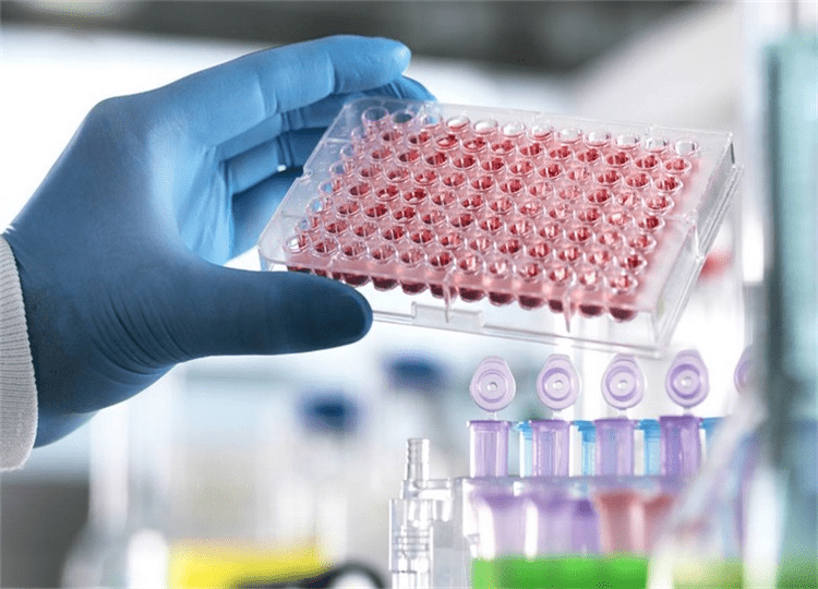 存活率干细胞填充是什么东西？干细胞填充为什么要打三次？太扯了！