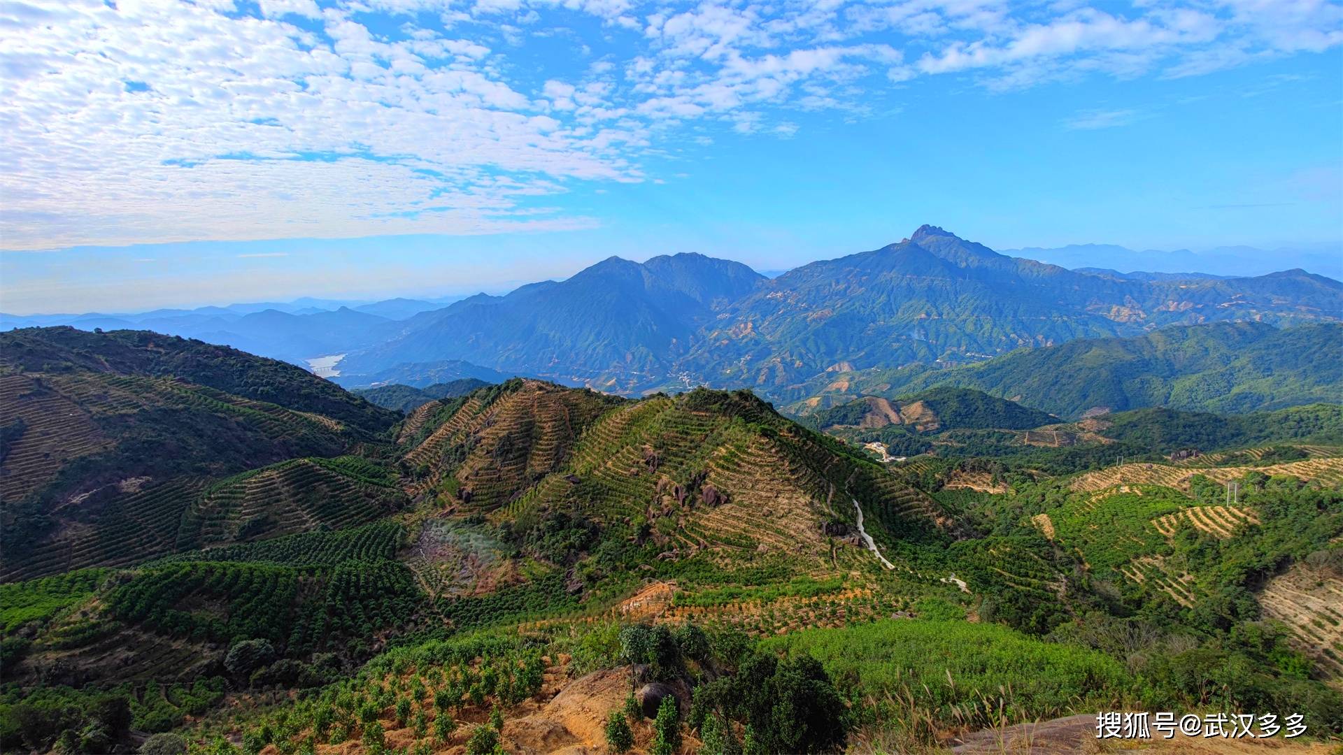 茂名凤凰山图片