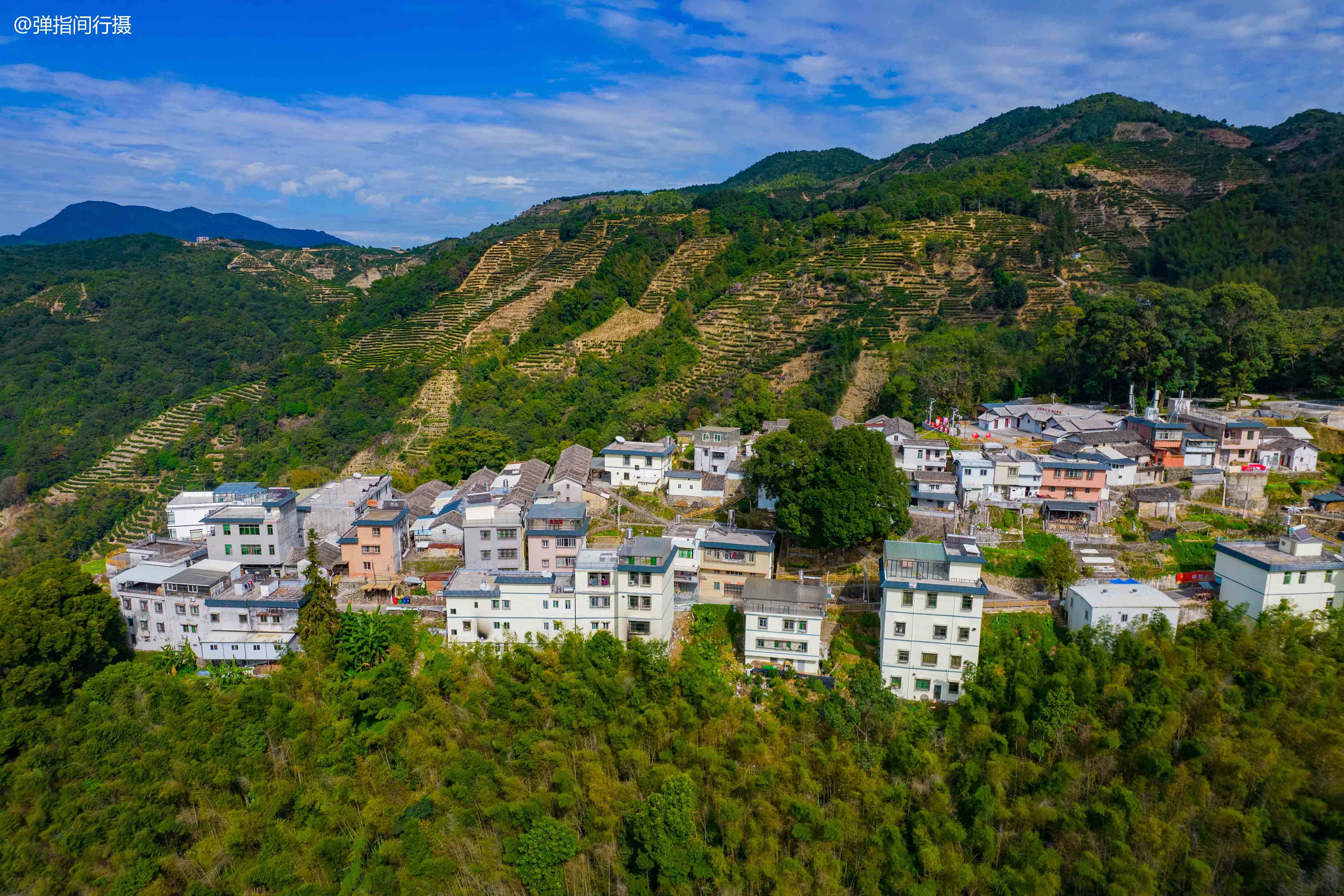 凤凰镇|广东潮州有个隐世山村，号称“单枞茶乡”，是潮汕的“诗与远方”