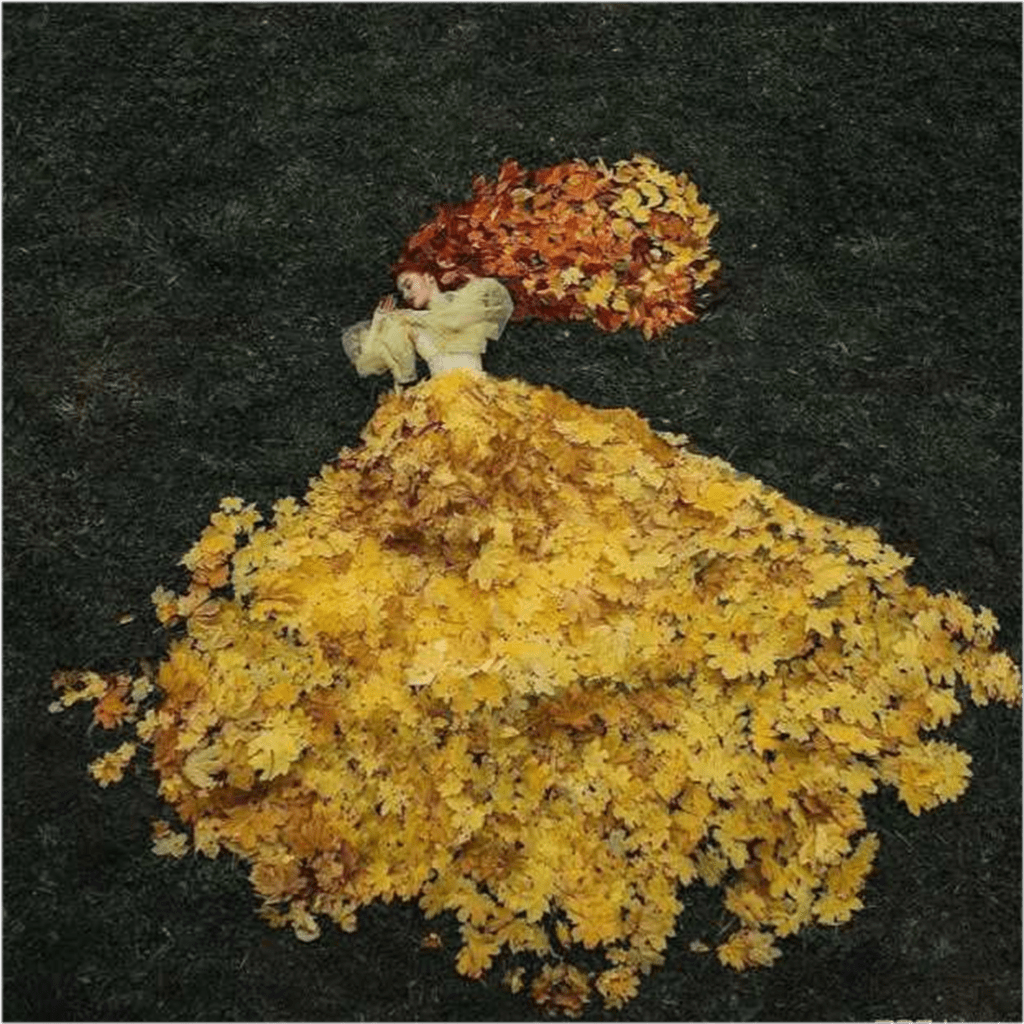 显得|【经典诗歌】我们想捕捉住自己的灵魂 | 韩昕余