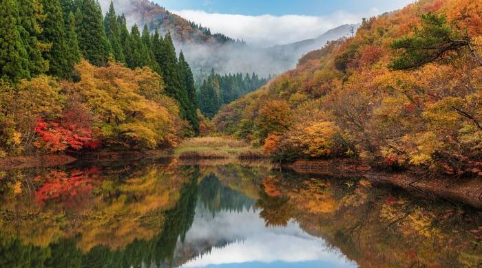 家电零售业的新拐点,网店正在沦为下一个实体店?-家电圈官网