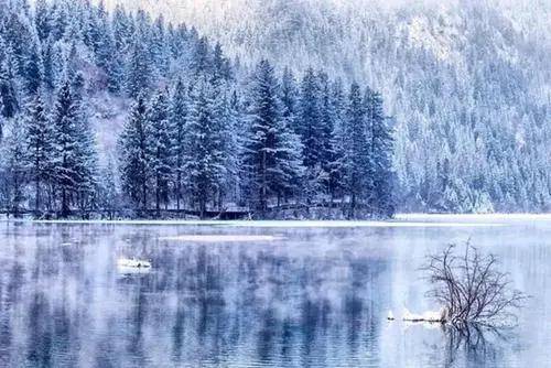 旅行社注册条件_注册国际旅行社有限公司_国内游旅行社注册材料