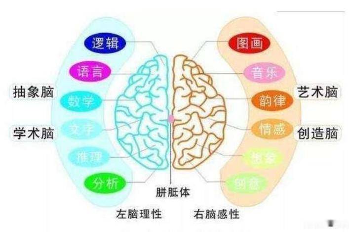 如何练习前庭发育 56ff7aa8e2c34b1a886a2608396191dd.jpeg