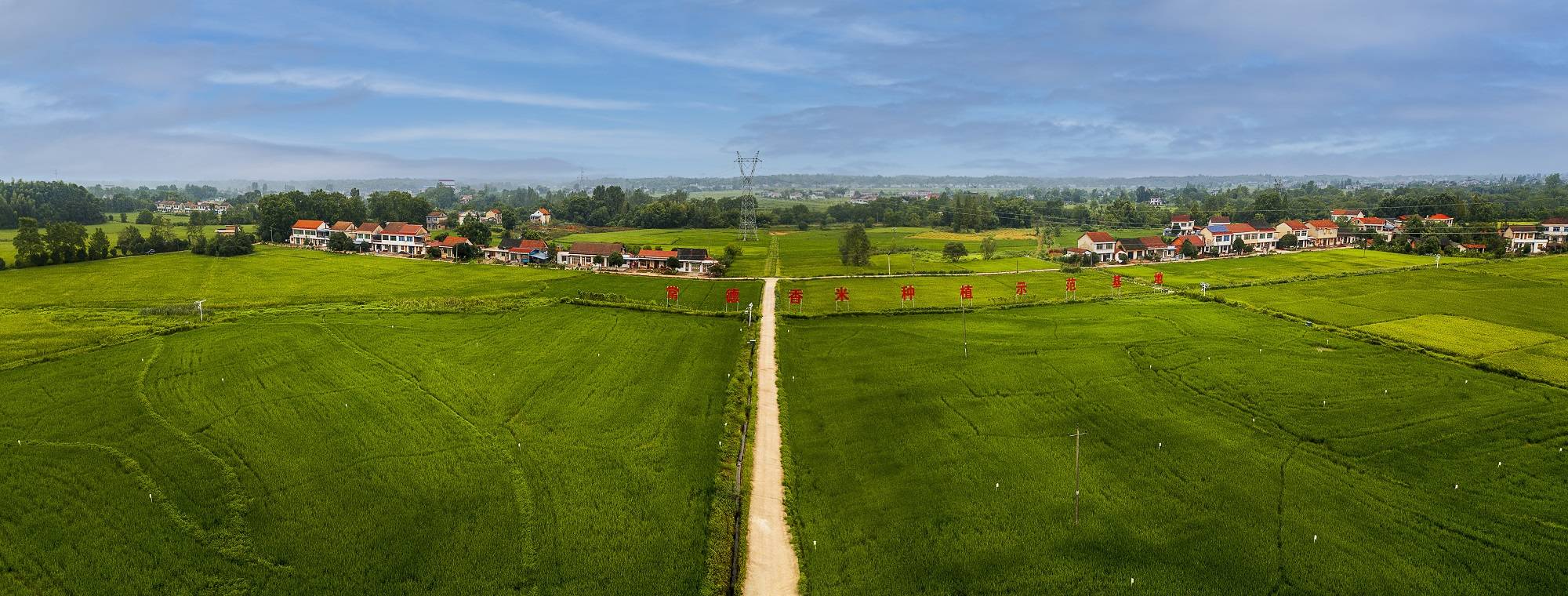 常德香米亮相世农会香飘粤港澳大湾区