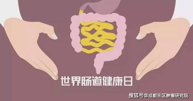 吃啥能增加大便次数 a721ee9caef7490f89e1bbd89225c9ac.jpeg