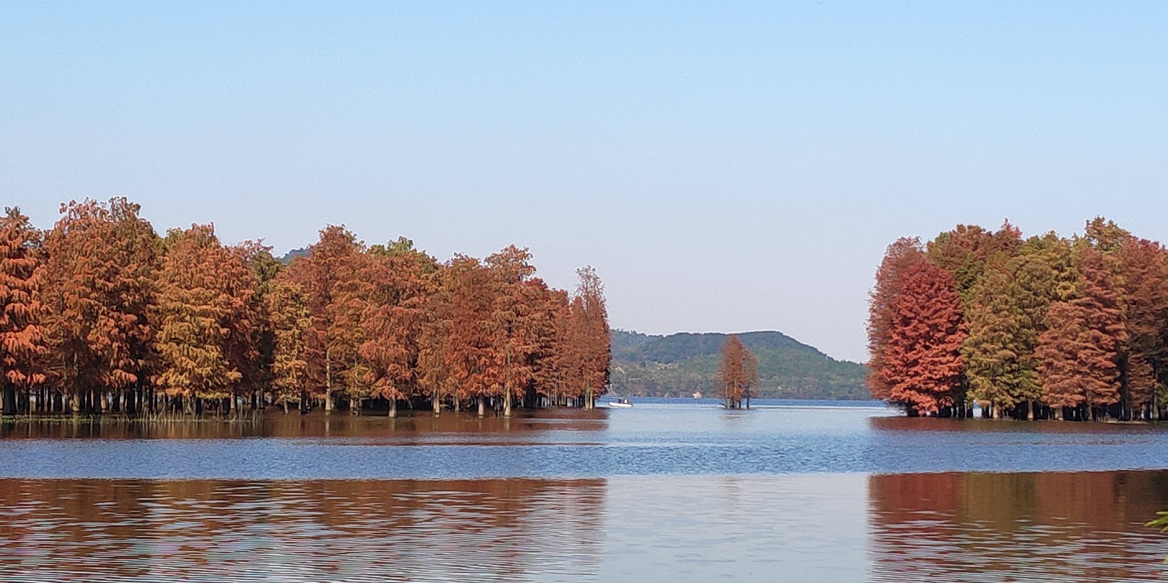 瀚海百重波,阴山千里雪.迥戍危烽火,层峦引高节.