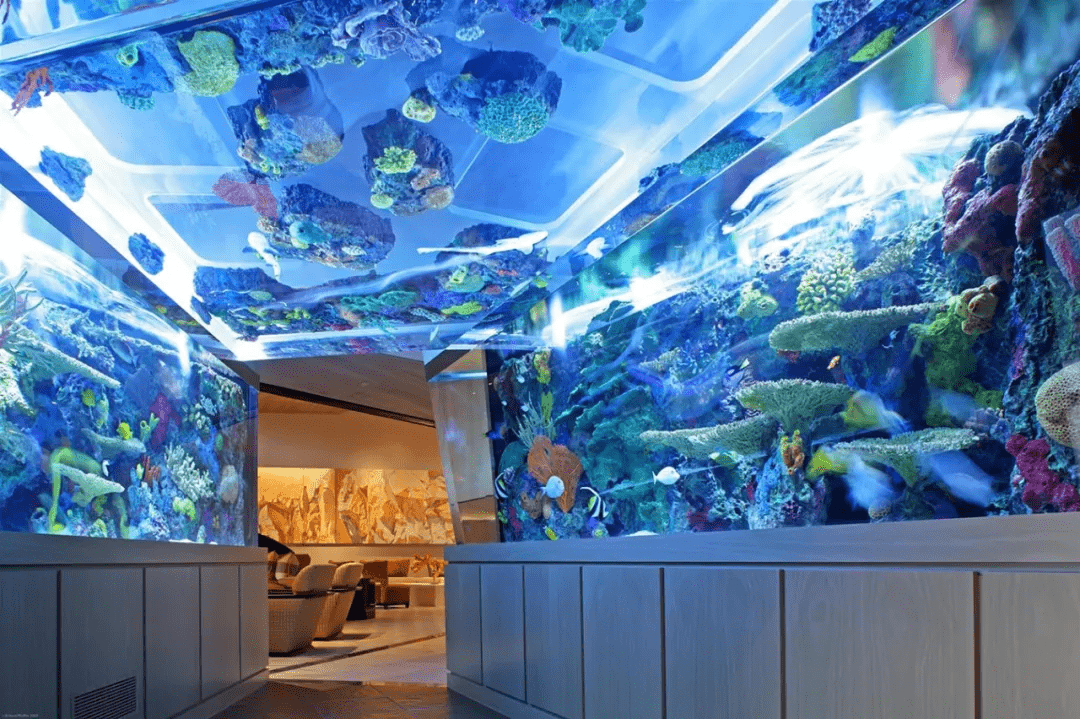 沙漠中的水族馆高奢私人度假村