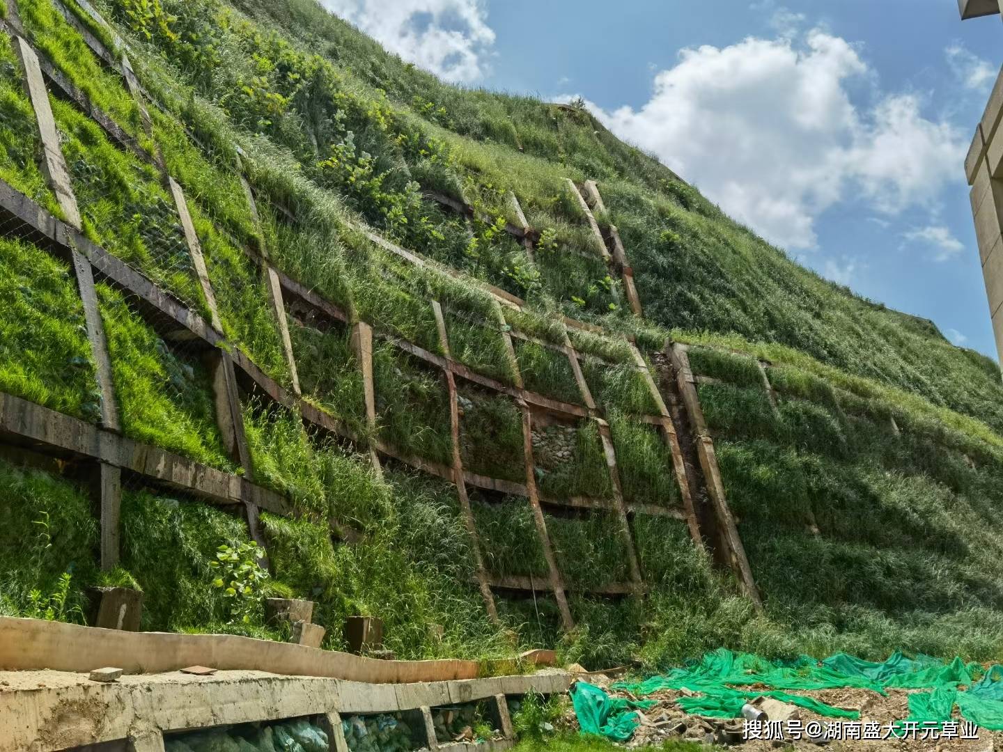 客土喷播技术:是结合喷播和免灌两种技术而成的新型绿化方法,将绿化用