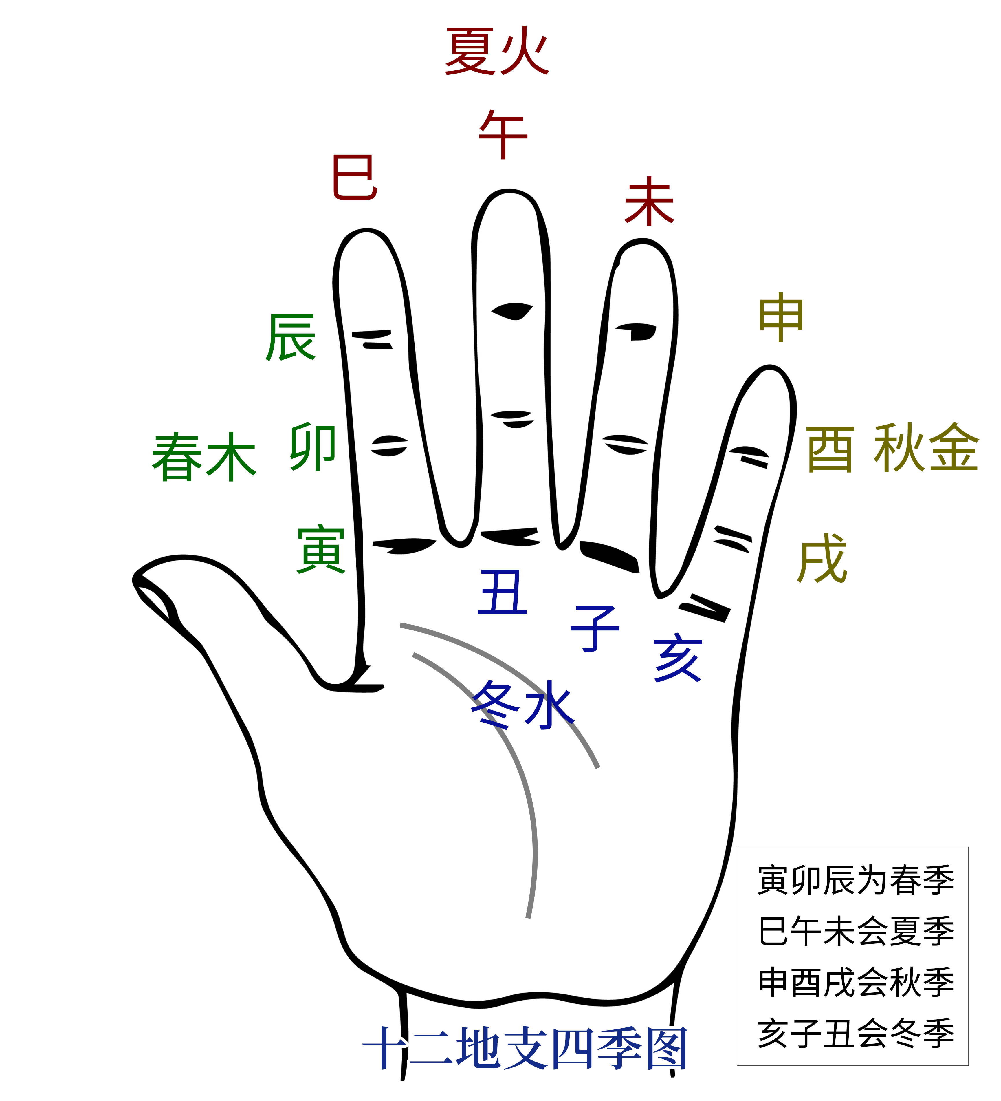江阳君:快速记忆十二地支五行属性生肖的方法_因为_季节_农历