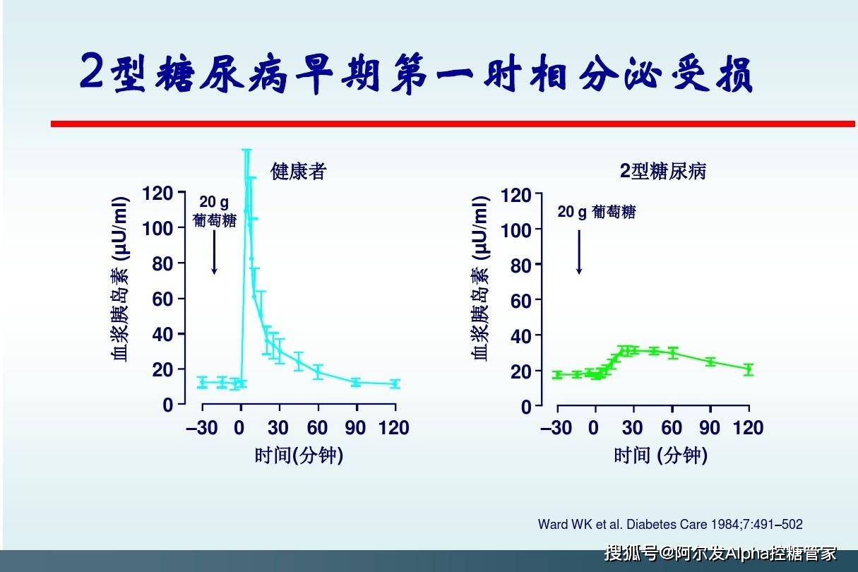 功能|《短期胰岛素强化治疗逆转2型糖尿病专家共识》摘要