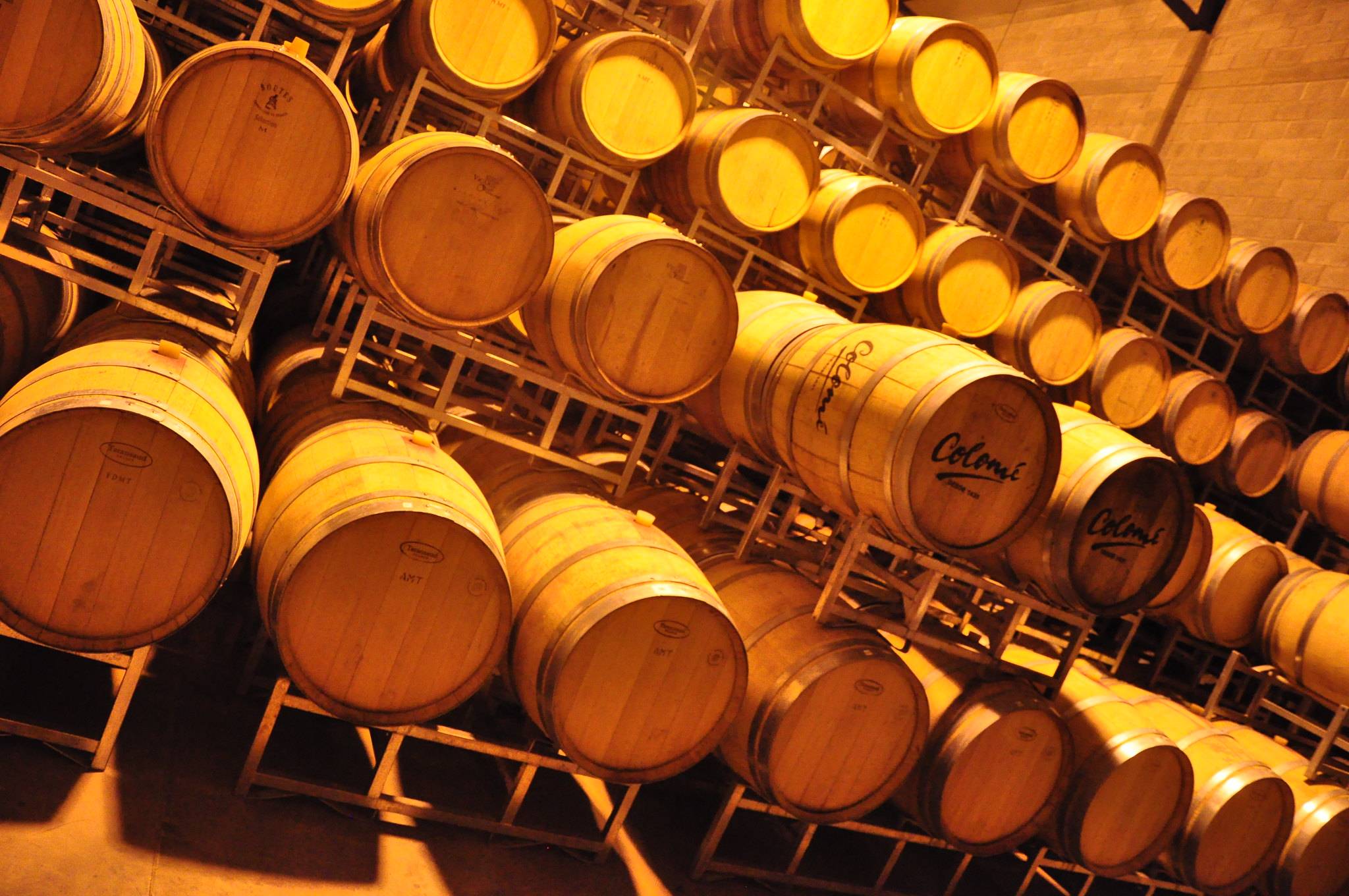 家族|最牛的家族：诞生过4位总统，足足影响了该国数百年时间