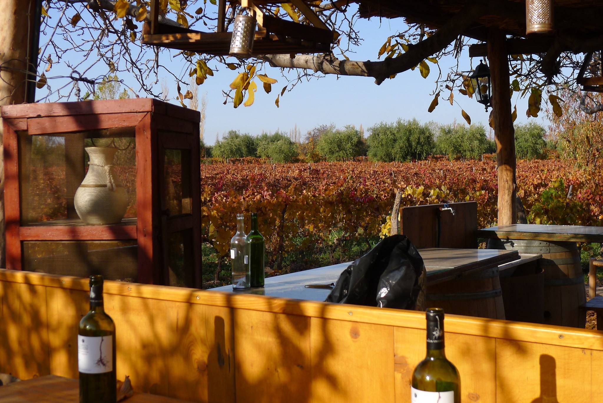 前列|把酒当饮料喝的国家：酒量位居世界前列，与中国关系友好