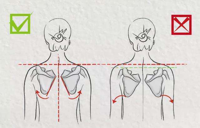 直角直角肩显脸小？不！想瘦脸还得靠它