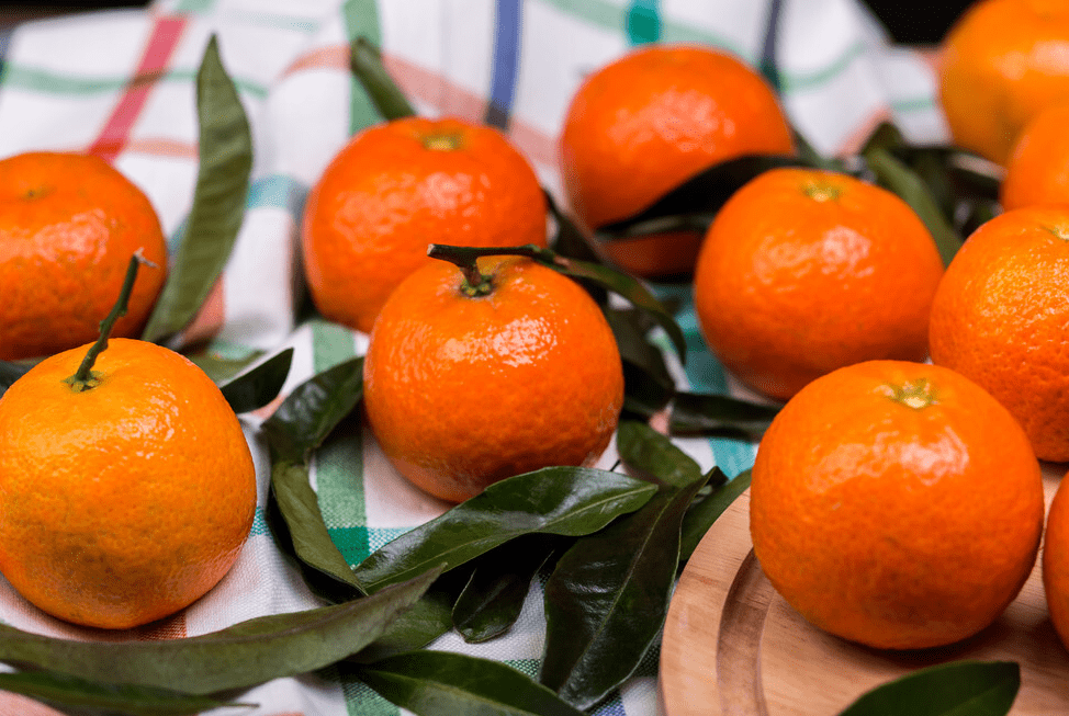 水果|冬至来临，不管有钱没钱，这9种金牌水果要多吃，解渴润燥营养高