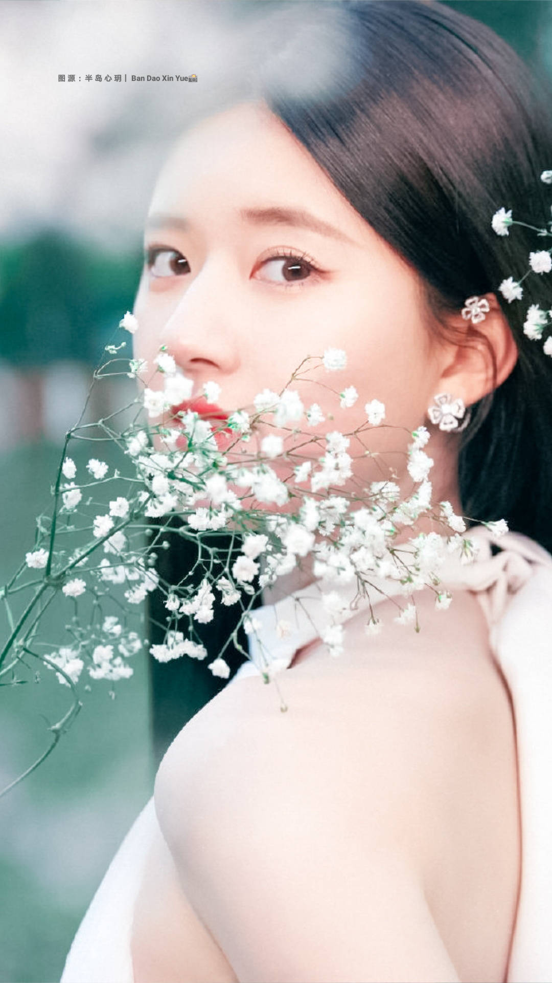 赵露思这也太美了吧 像精灵一样的仙女-搜狐大视野-搜狐新闻