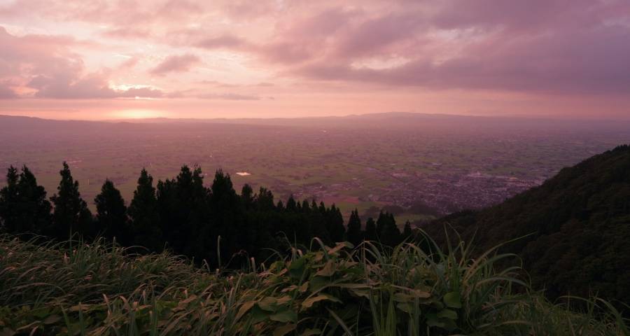 家电业的明星代言热又要偃旗息鼓了-家电圈官网