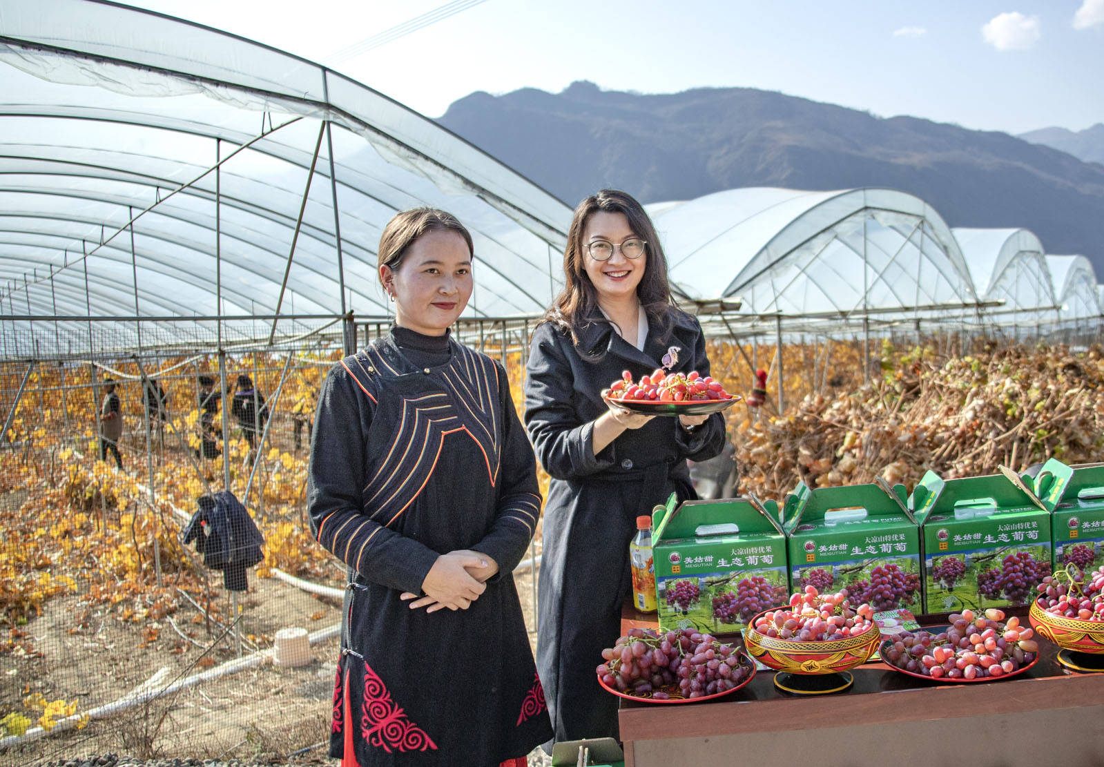 国家电投总经理江毅赴凉山州美姑县调研乡村振兴