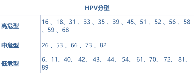 hpv阳性报告单图片