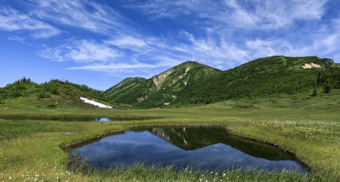 接下来很多家电厂商在市场上,已经没有选择题可做了!-家电圈官网