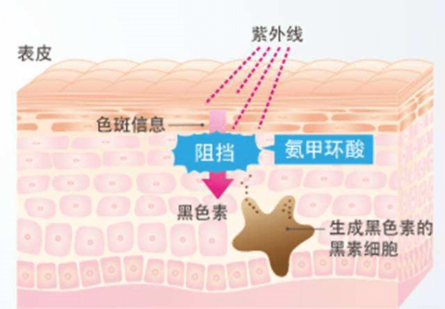 生物美容行业色素管理仪器，进入美白管理新时代