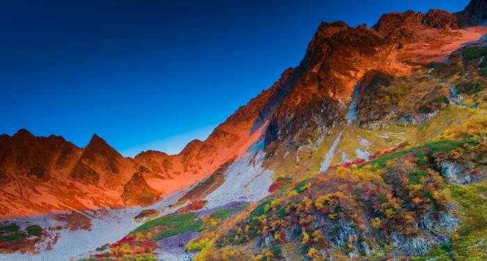 用户主义在家电业加速落地，带来三个经营新变局-家电圈官网