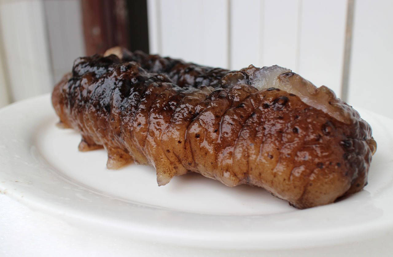 猪婆参肉质肥厚,软滑细嫩,口感上佳.