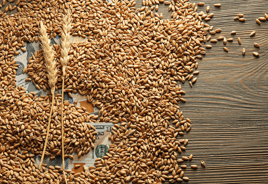 豆粕今日报价2022.3.26 fdb9bcb9691c4dad8abab38ea747b5eb.png