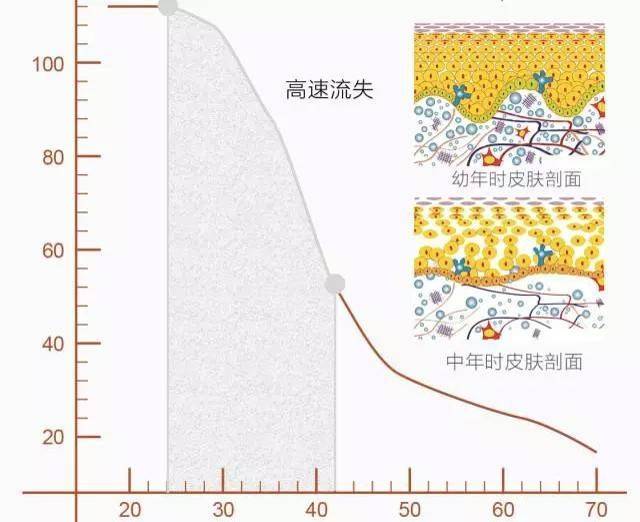 科技科技护肤与护肤黑科技——皮肤衰老的秘密