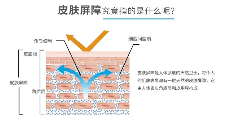 方法敏感肌是什么意思，改善敏感肌的六个方法