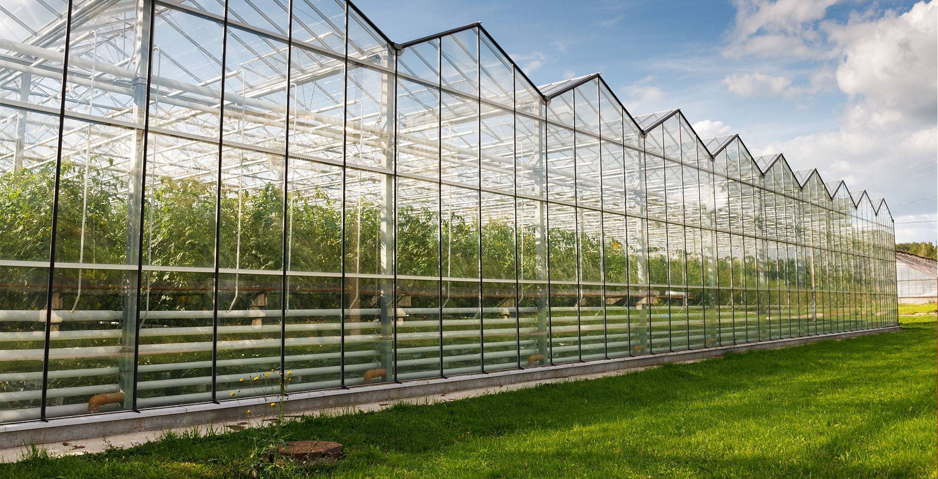 荷兰农业成功的的经营模式分析