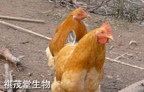 82266ff44b0a44658637886a2caf9512.jpeg