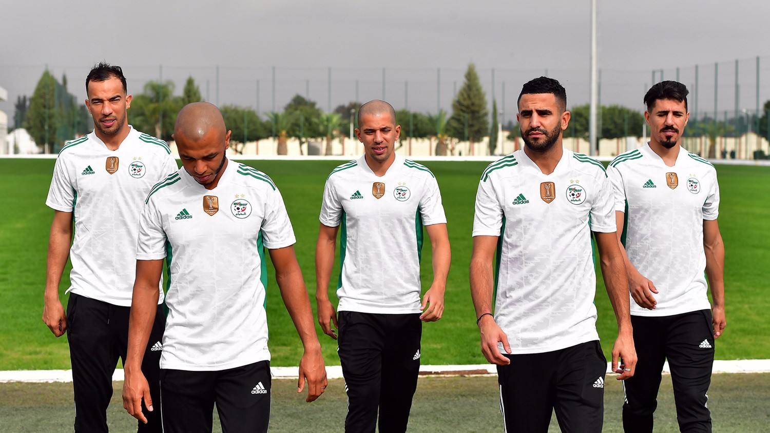 非洲杯前瞻阿尔及利亚vs塞拉利昂卫冕冠军轻取开门红