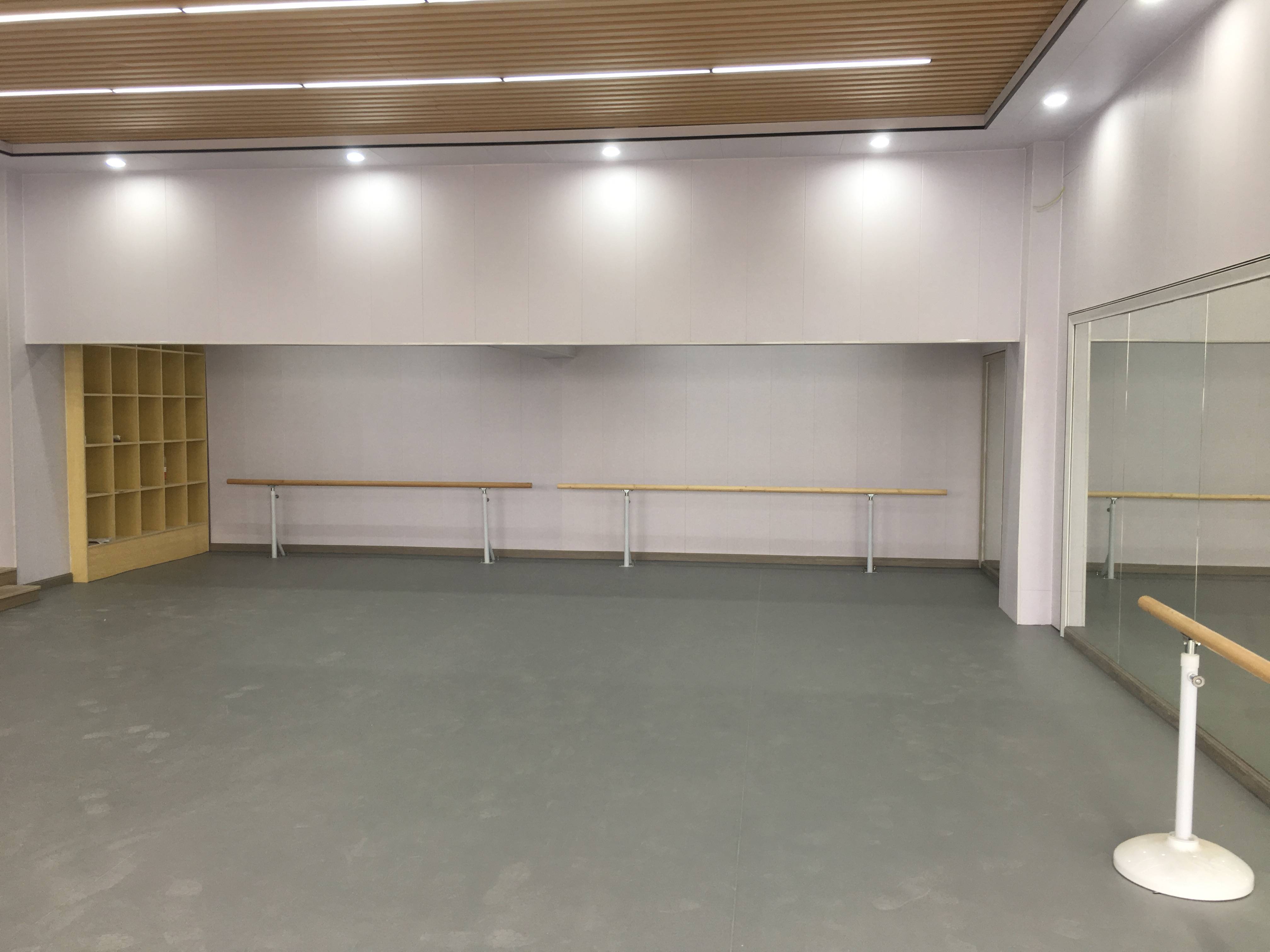 舞蹈地胶家用专用房专业板地垫教室pvc室内防滑街舞练习芭蕾垫子