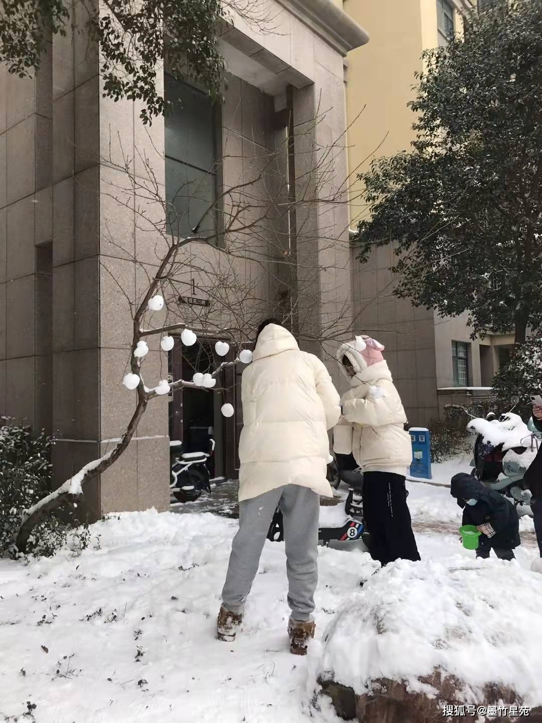 款款深情|【墨竹】多彩的雪