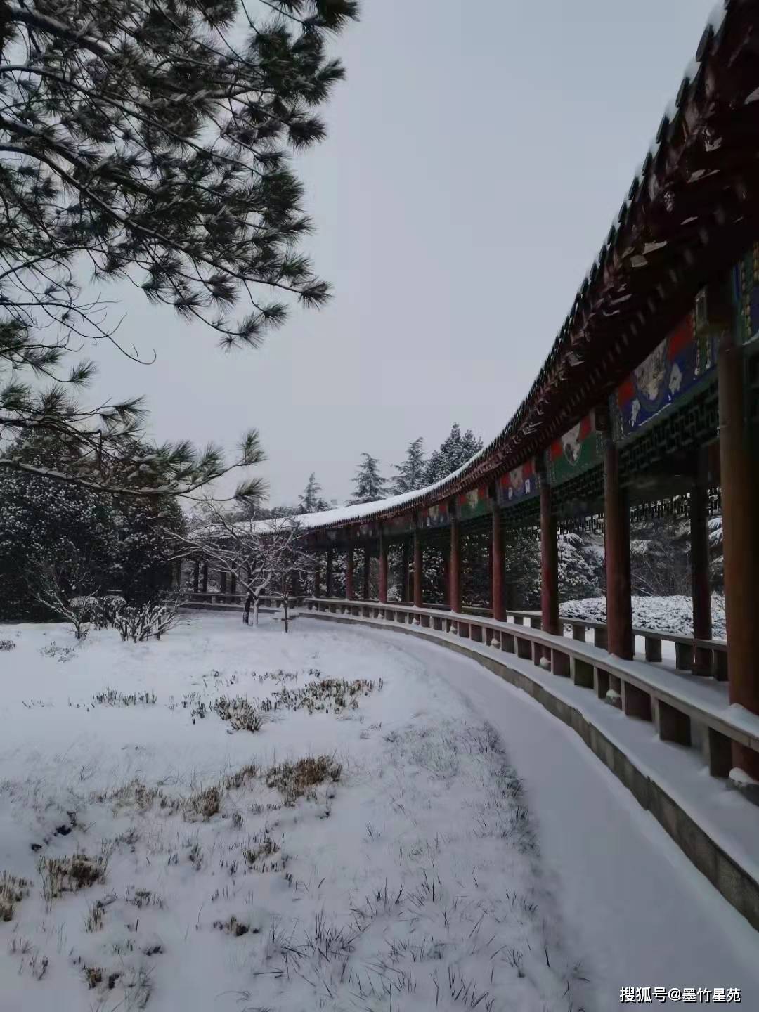 款款深情|【墨竹】多彩的雪