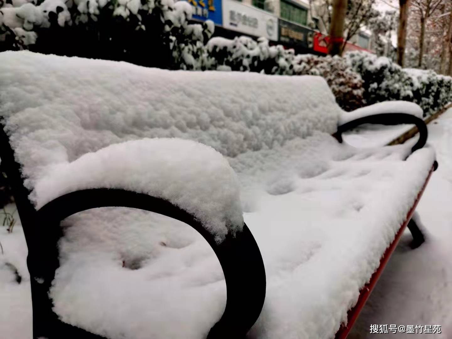 款款深情|【墨竹】多彩的雪