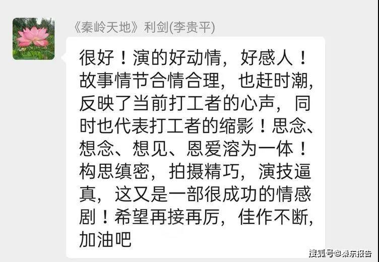 短剧饺子，一道美食的背后故事与情感解说，饺子，美食背后的故事与情感