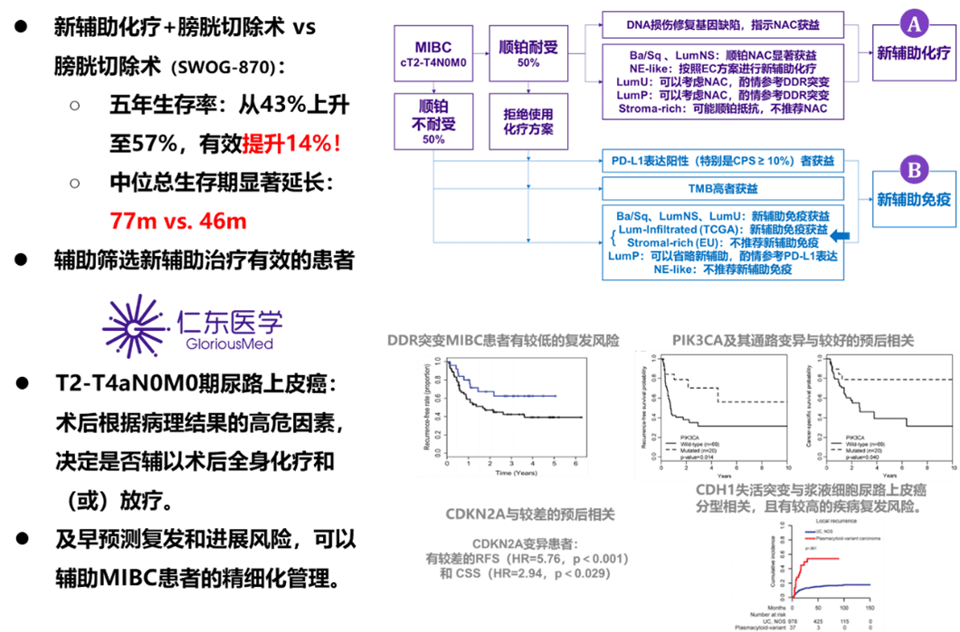 根治性膀胱切除術同時行盆腔淋巴結清掃術,是mibc患者的標準治療方案.