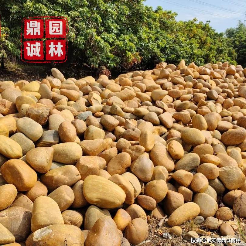 如何摆放天然黄蜡石 地质 作用 岩石 如何摆放天然黄蜡石 地质 作用 岩石