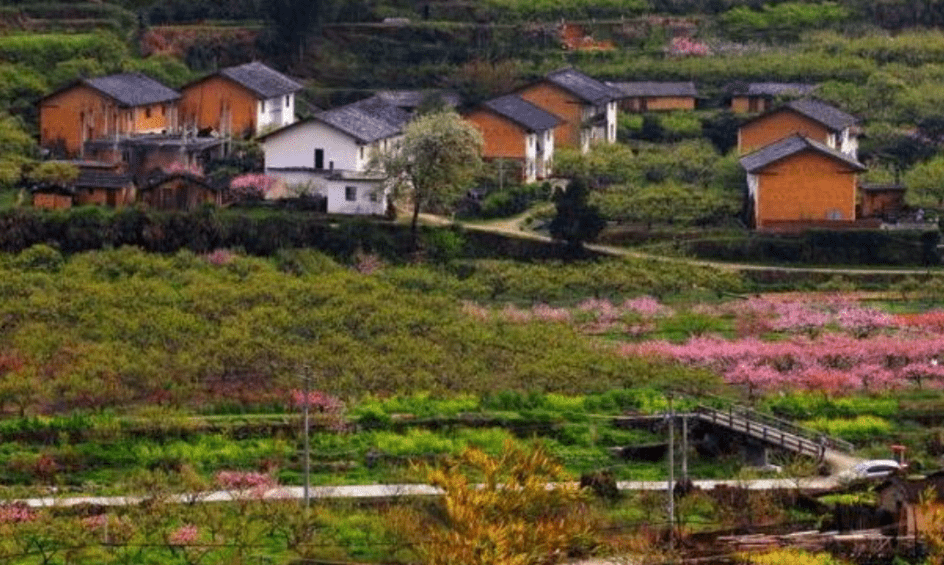 农村空气新鲜质量好，为啥年轻人还往城市跑？3个原因很现实_生活_工作_教育