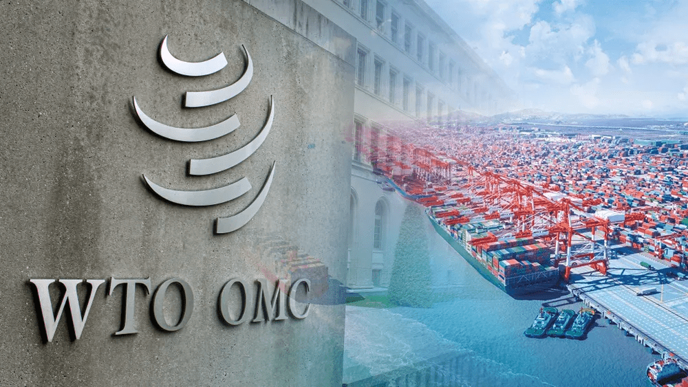 猛美国贸易大逆差人民币大幅升值全球供应链缓解hmm净利暴涨等