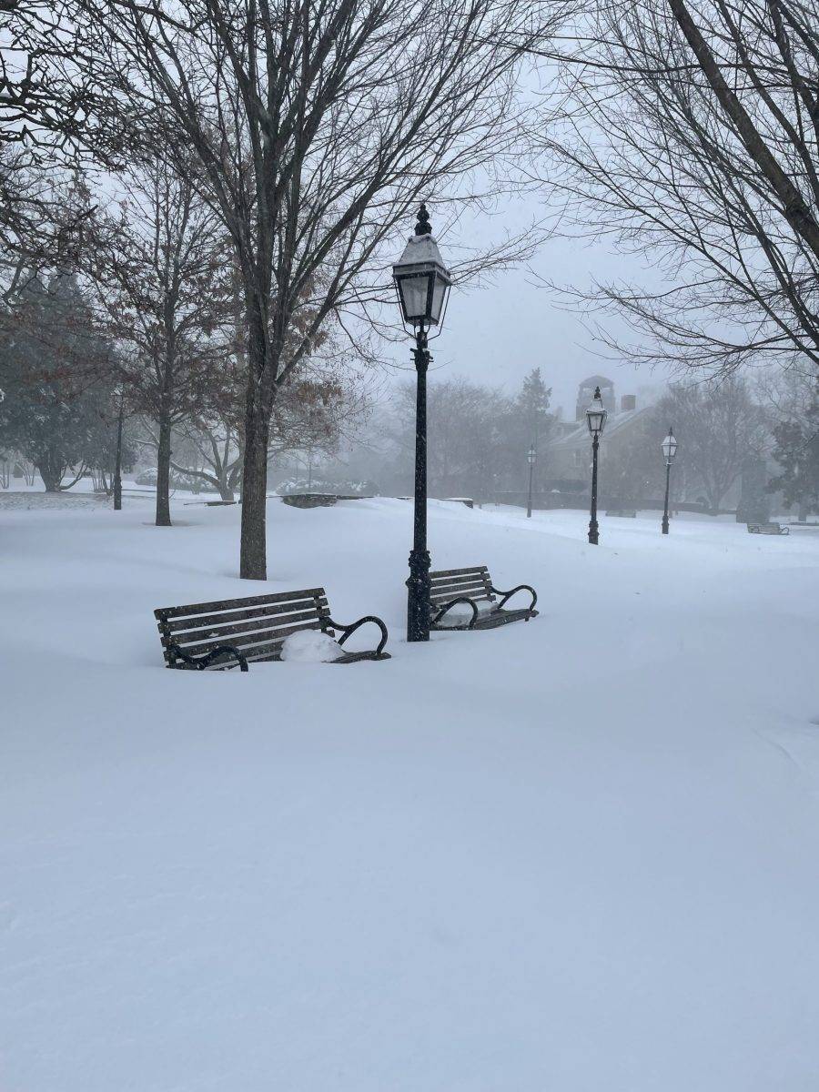 拜登|残酷的雪景，惨兮兮的美感