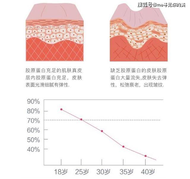 起跑线ME胶原科普丨90%的女生护肤，在起跑线就输了！